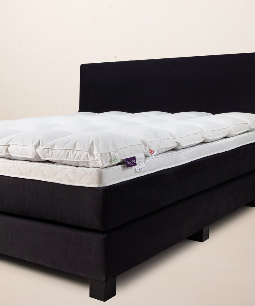 Mainport bed