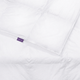DOUXE PrimaLoft® Duvet