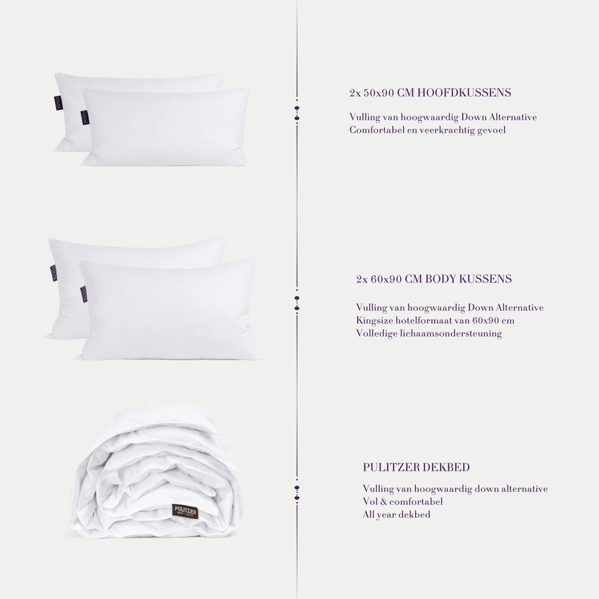 Down Alternative Comfort Suite Bedding Set