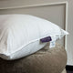 Down Pillow 60x90 | Outlet