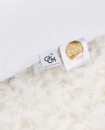 Efteling Grand Hotel Down Pillow 50x90 cm Efteling Grand Hotel Down Pillow 50x90 cm