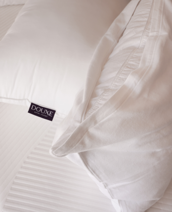 Pillow Protector Set (2 pcs) Pillow Protector Set (2 pcs)