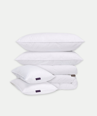 Down Alternative Comfort Suite Bedding Set