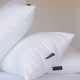 DOUXE Hotel Pillow Microfiber - 50x90 cm