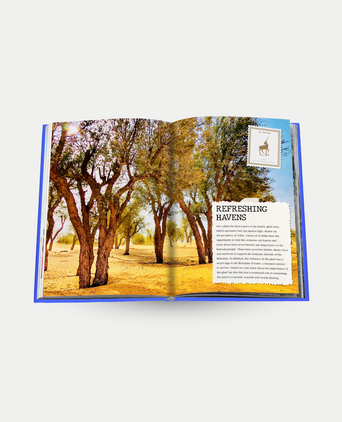 The Luxury Collection: Hotel Secrets - Assouline Coffee Table Book