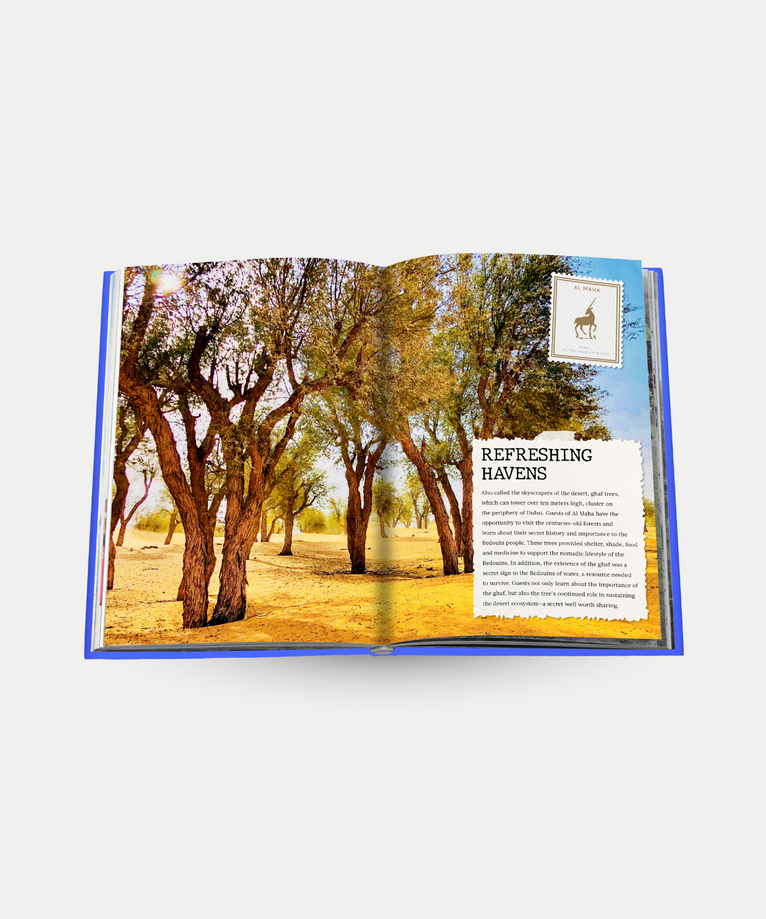 The Luxury Collection: Hotel Secrets - Assouline Coffee Table Book
