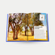 The Luxury Collection: Hotel Secrets - Assouline Coffee Table Book