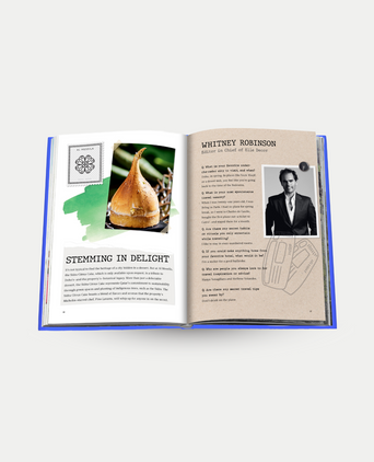 The Luxury Collection: Hotel Secrets - Assouline Coffee Table Book