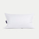 DOUXE Hoofdkussen Dons 60x90 cm - 80% Dons