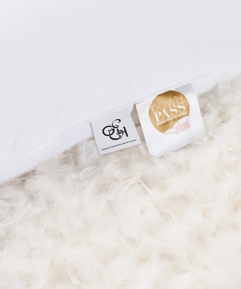 Efteling Grand Hotel Down Pillow 50x90 cm