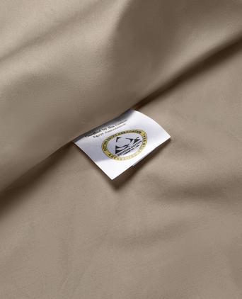 Set of 2 Pillowcases Egyptian Cotton Sateen 400TC | Champagne